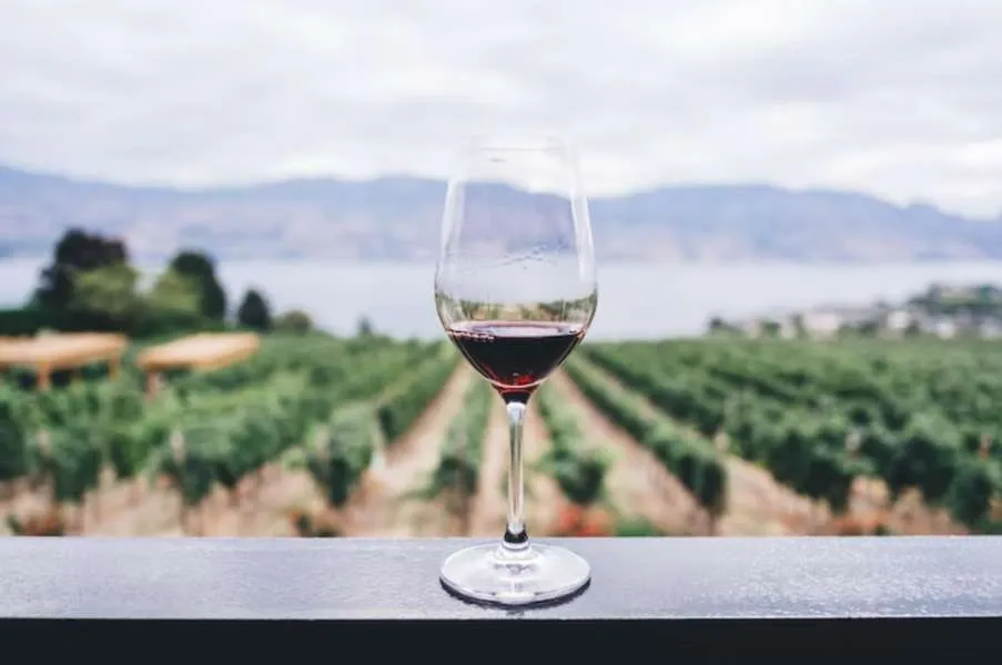 Η επιστήμη καταρρίπτει τον μύθο για το κόκκινο κρασί - Αυτές είναι οι επιπτώσεις του αλκοόλ στην υγεία