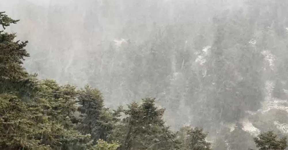 Καιρός: Χιονοκαταιγίδα στην Πάρνηθα - Στα λευκά η περιοχή