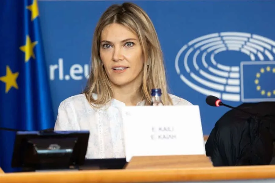 Δημητρακόπουλος: «Η Εύα Καϊλή επιστρέφει στο Ευρωκοινοβούλιο»