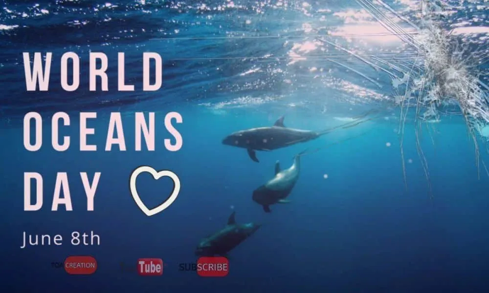 Παγκόσμια Ημέρα Ωκεανών, σήμερα 8 Ιουνίου: Το καταφύγιο της καρέτα-καρέτα στη Ζάκυνθο (vid)