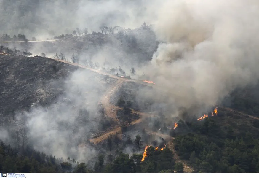 Πυρκαγιές: Ο επικίνδυνος συνδυασμός ανέμων και χαμηλής υγρασίας εδάφους
