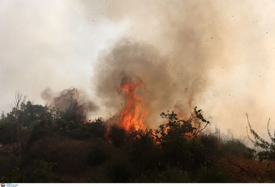 Κάρυστος: Συνεχείς αναζωπυρώσεις λόγω ισχυρών ανέμων – Πλησιάζει οικισμούς η φωτιά
