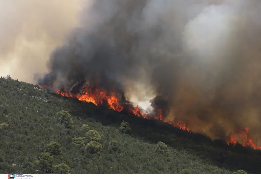 Άγιο Όρος: Οριοθετήθηκε η φωτιά - Άμεση επέμβαση της Πυροσβεστικής