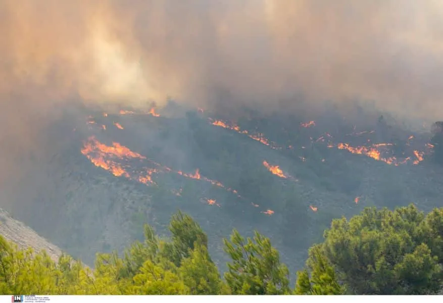 Φωτιές: Ακραίος κίνδυνος πυρκαγιάς και σήμερα - Κατάσταση συναγερμού για 7 περιφέρειες