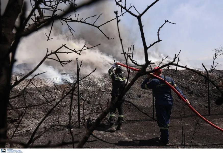 Φωτιές: Πάνω από 500.000 στρέμματα κάηκαν μέσα στον Ιούλιο