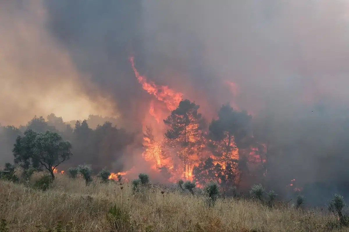 Φωτιές: Συνεχίζεται η μάχη με τις φλόγες σε Δυτική Αττική, Λουτράκι και Ρόδο