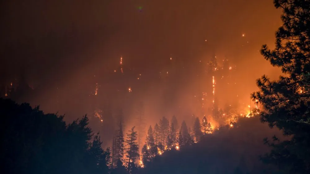 Ευθύμης Λέκκας: Οι δασικές πυρκαγιές πυροδοτούν την κλιματική κρίση