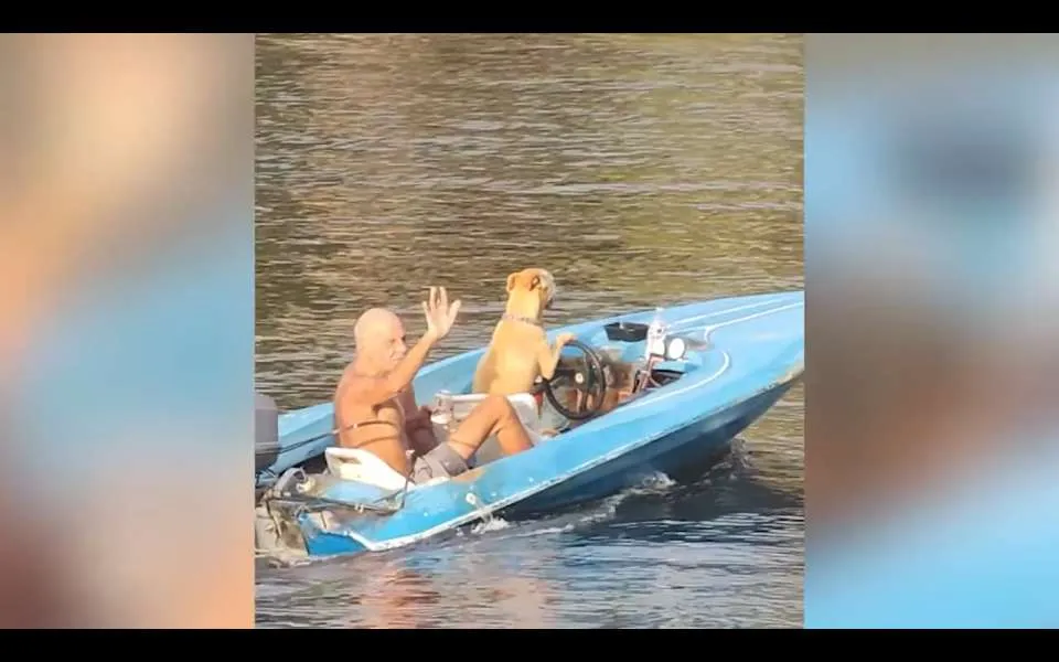 ΗΠΑ: Σκύλος... οδηγεί βάρκα και κάνει βόλτα τον ιδιοκτήτη του