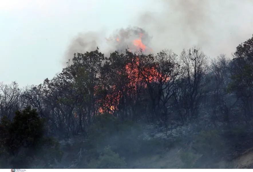 Φωτιά στην Κομοτηνή: Κάηκαν σπίτια στο χωριό Σώστης