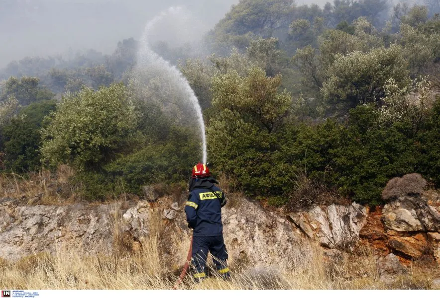 Φωτιά στην Άνδρο: Δύο εστίες - Δυνάμεις της Πυροσβεστικής στα σημεία