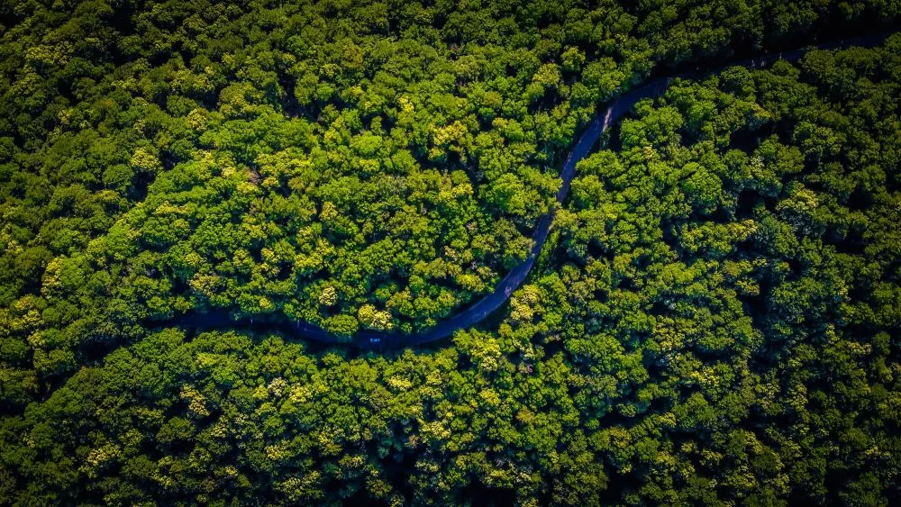 Αμαζόνιος: Στο χαμηλότερο επίπεδο η αποψίλωση από το 2017