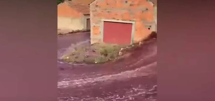 Δύο εκατομμύρια λίτρα κρασί κατέκλυσαν τον δρόμο χωριού (ΒΙΝΤΕΟ)