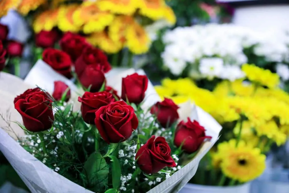 Αγίου Βαλεντίνου 2024: Περισσότερα από 300 χιλιάδες τριαντάφυλλα για την ημέρα των ερωτευμένων