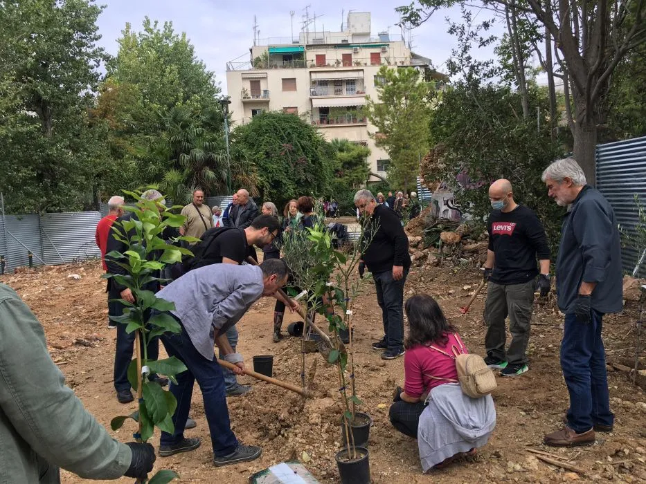Δήμος Αθηναίων: Η εφαρμογή AthensTrees για να βλέπετε όλες τις δενδροφυτεύσεις που γίνονται στην πόλη