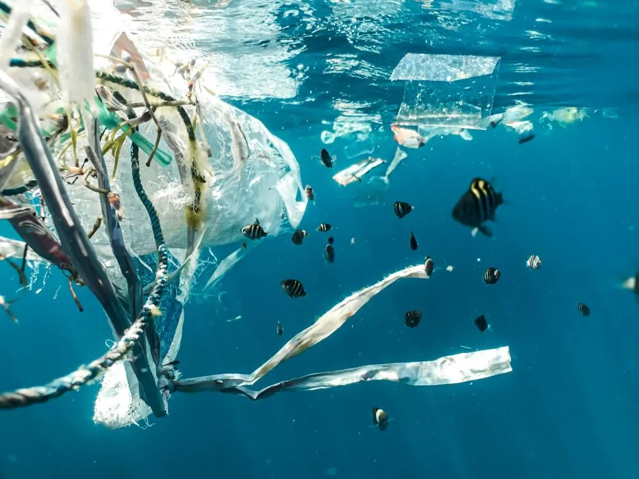 Η ρύπανση από τα πλαστικά θα τριπλασιαστεί ως το 2060, αν δεν αλλάξει κάτι