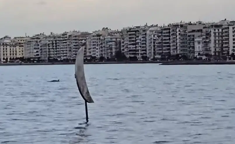 Aπίστευτο: Δελφίνια έκαναν την εμφάνισή τους στον Θερμαϊκό (ΒΙΝΤΕΟ)